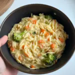 Veggie Orzo